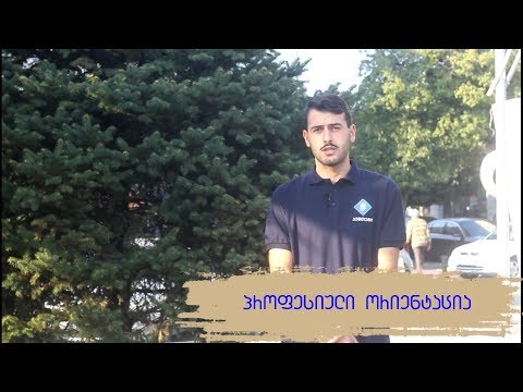 ივანე ბაკურაძე - პროფესიული ორიენტაცია წარმატებული მომავლისთვის